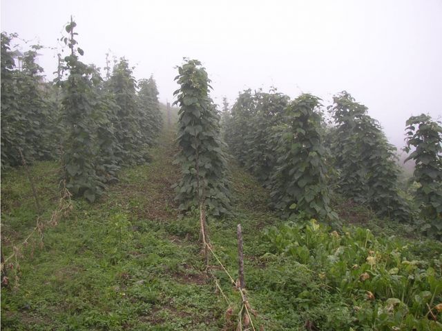 place photo 40