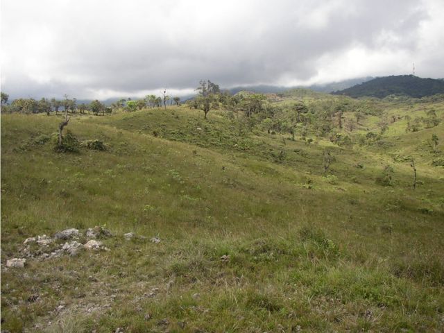 place photo 42