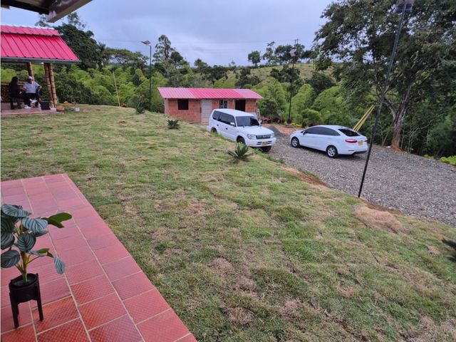 place photo 46