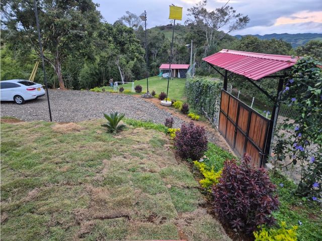 place photo 45