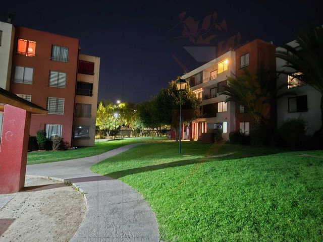 place photo 22