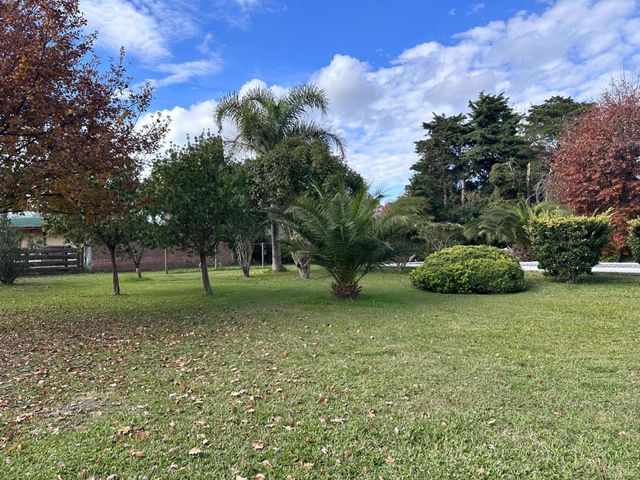 place photo 21