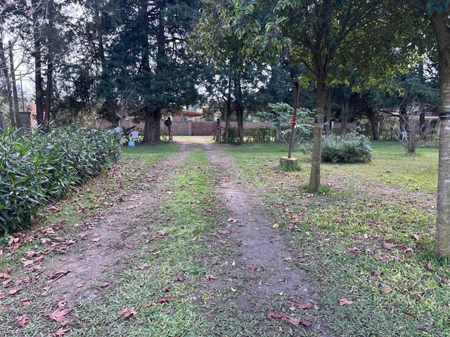 place photo 27