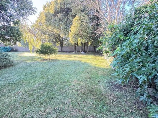 place photo 26