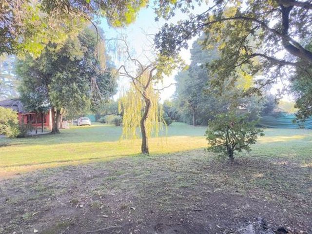 place photo 27