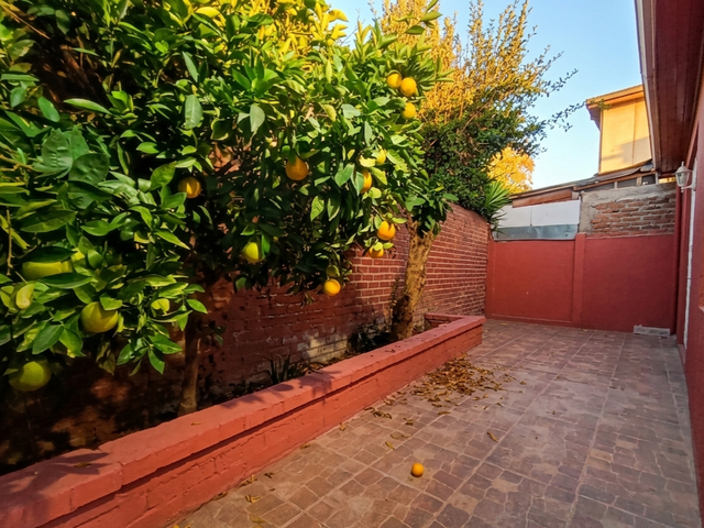 place photo 24