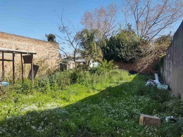 place photo 15