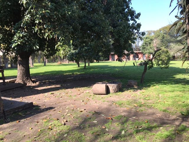 place photo 22