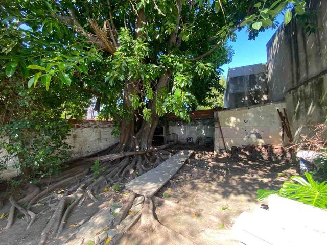 place photo 45