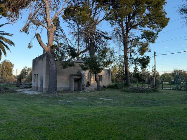 place photo 17
