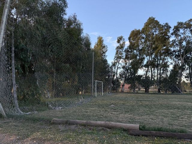 place photo 16