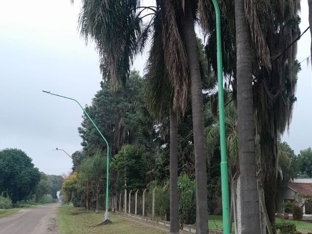 place photo 18