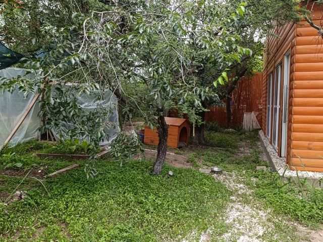 place photo 25