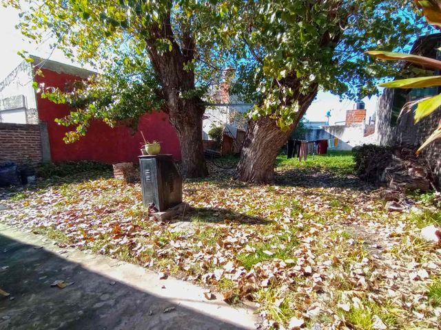 place photo 24