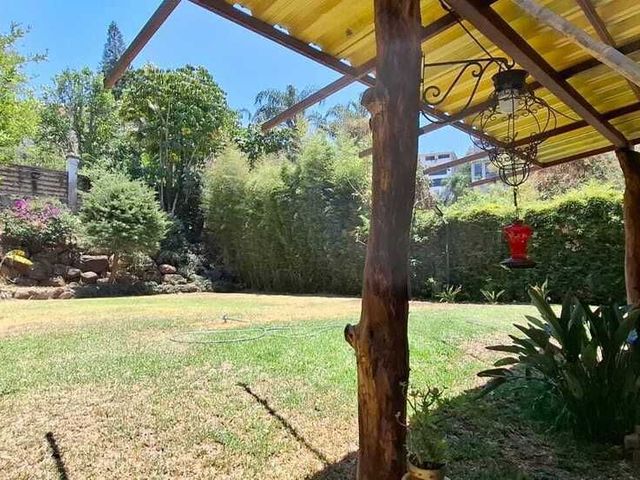 place photo 36