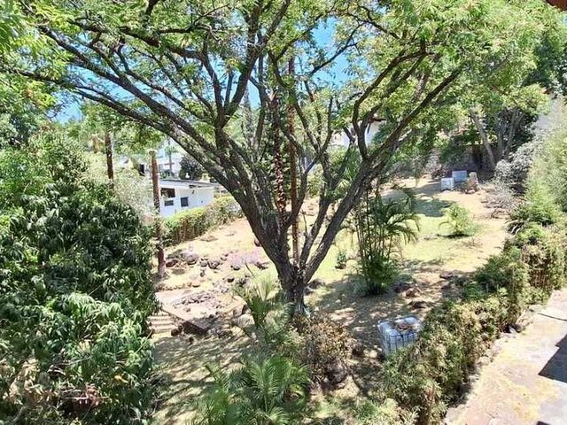 place photo 43