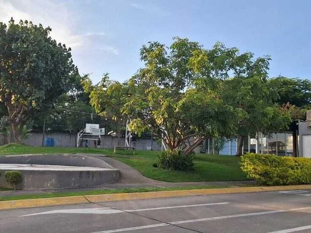 place photo 43