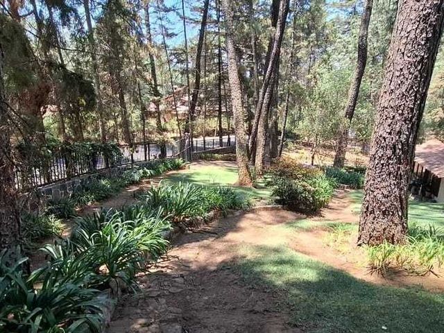 place photo 45