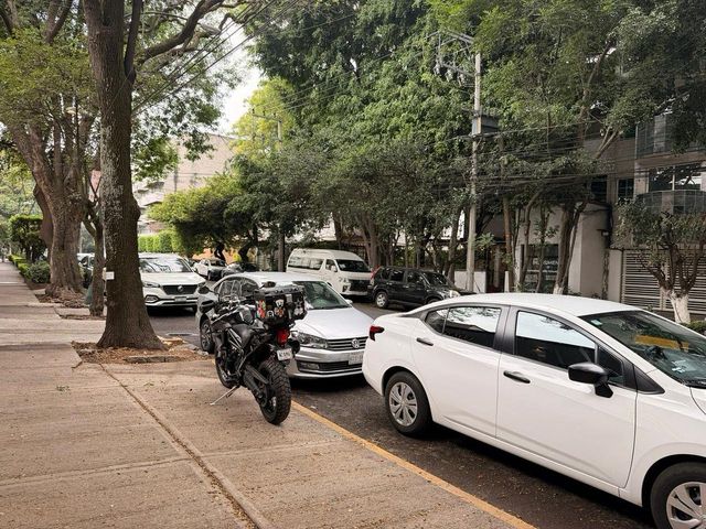 place photo 17