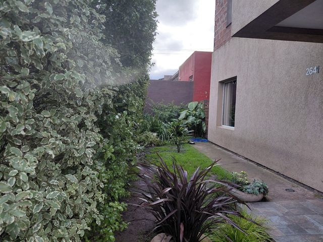 place photo 44