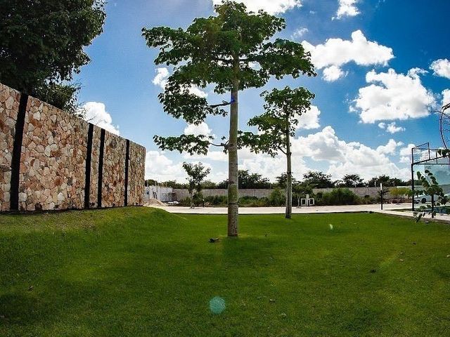place photo 21
