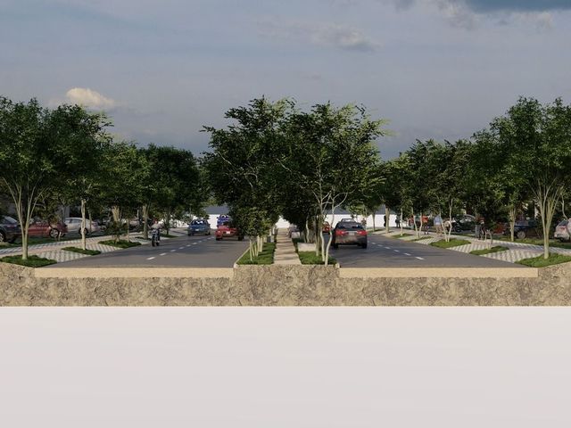 place photo 27