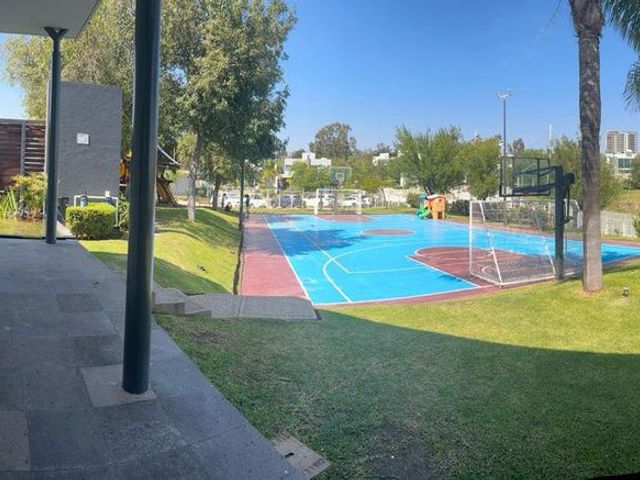 place photo 31