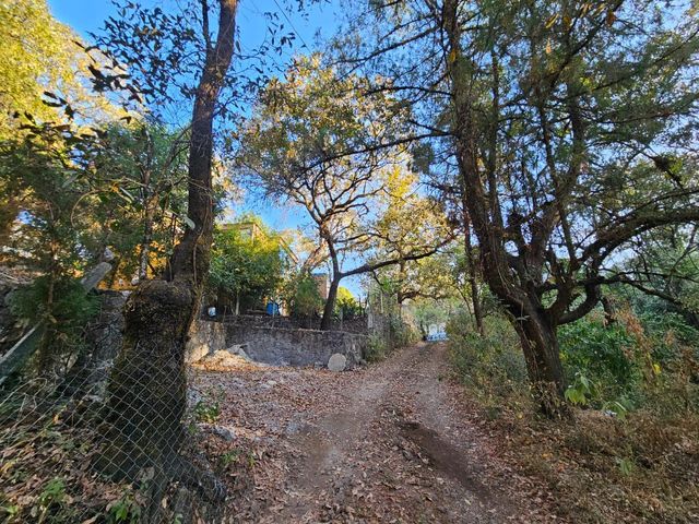 place photo 35