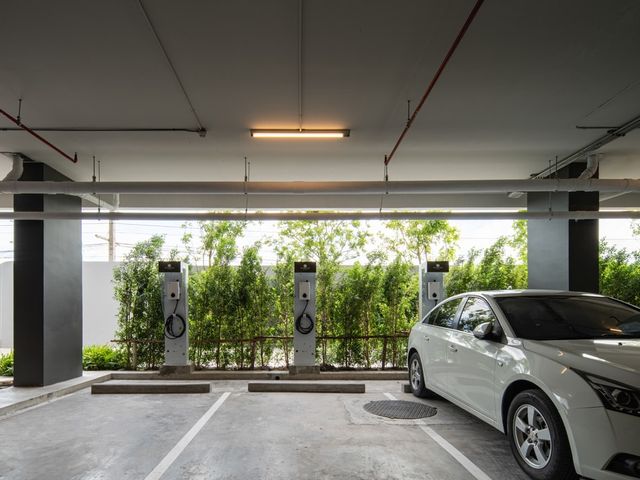place photo 40