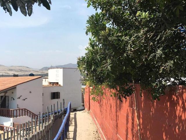 place photo 39