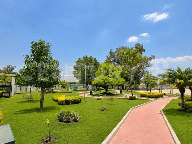 place photo 34