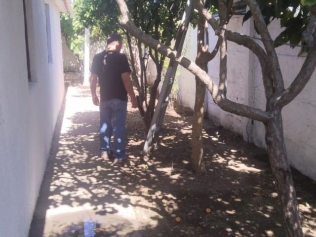 place photo 17