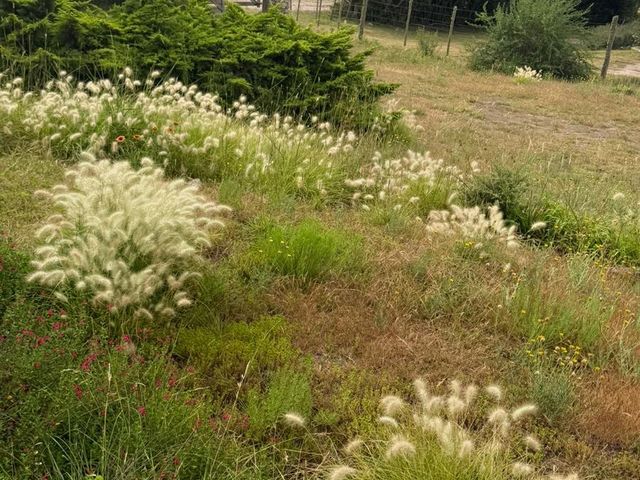 place photo 46
