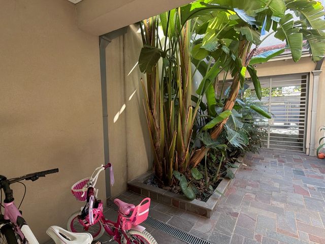 place photo 37