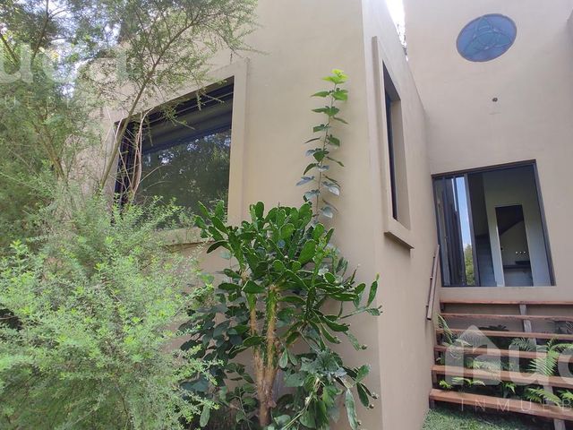 place photo 60
