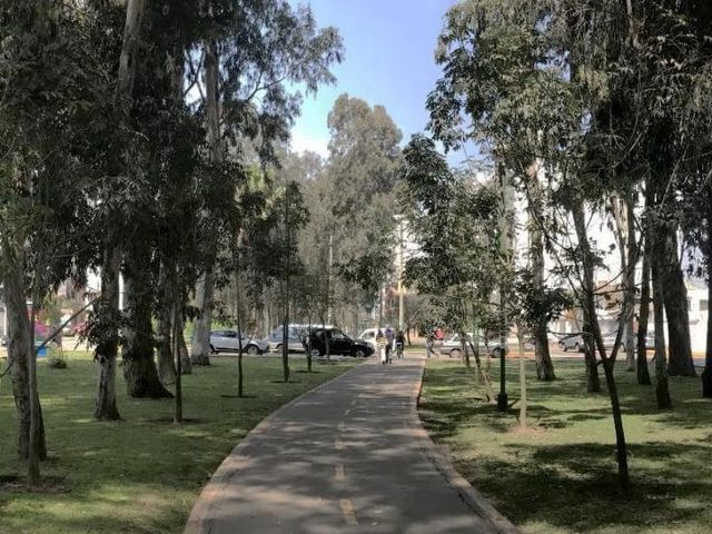 place photo 11