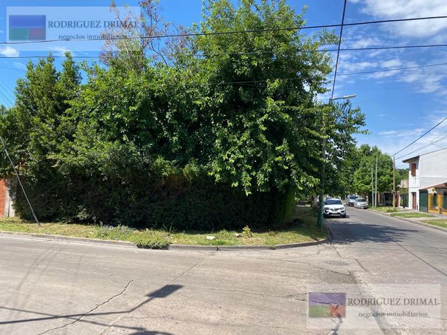 place photo 17