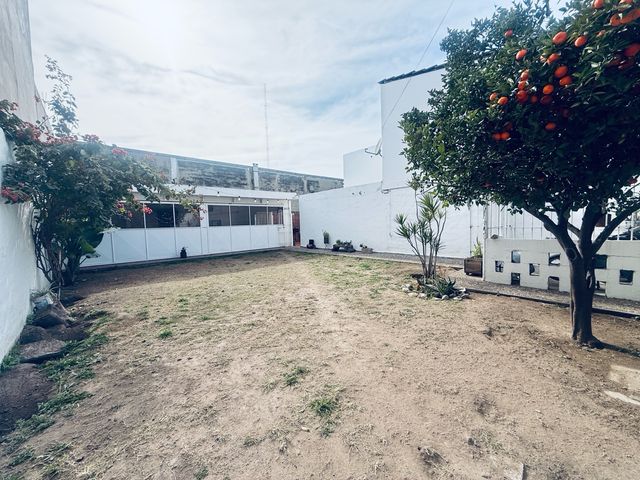 place photo 40