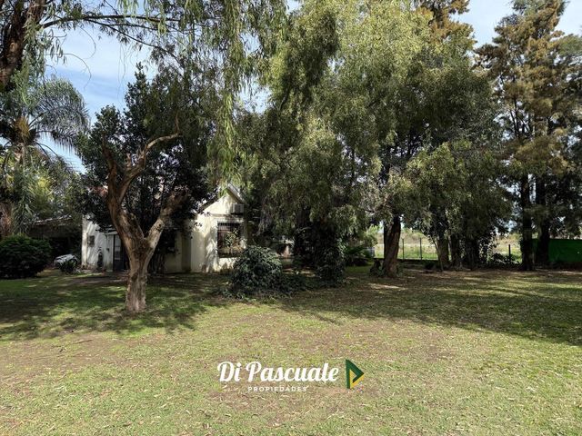 place photo 21