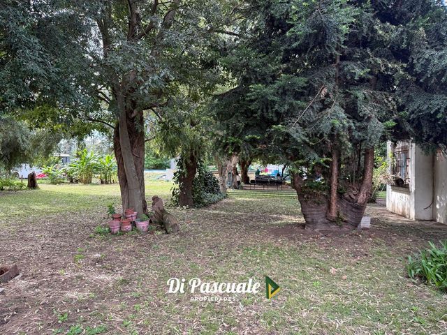 place photo 20