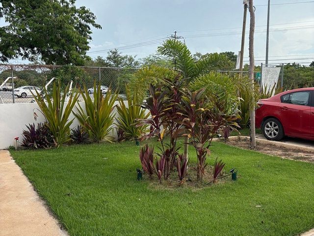 place photo 14