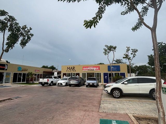 place photo 11