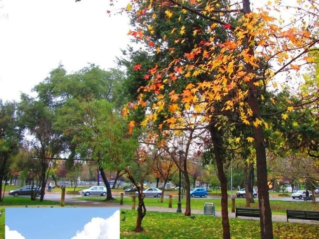 place photo 17