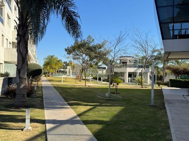 place photo 35