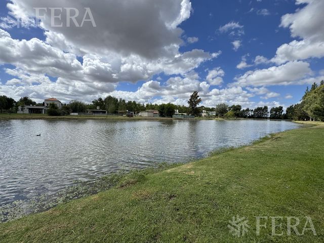 place photo 37