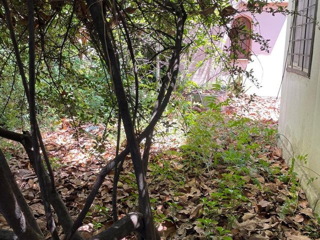 place photo 35