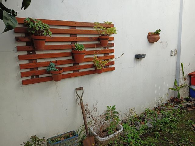 place photo 30