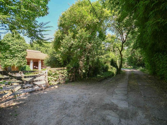 place photo 43