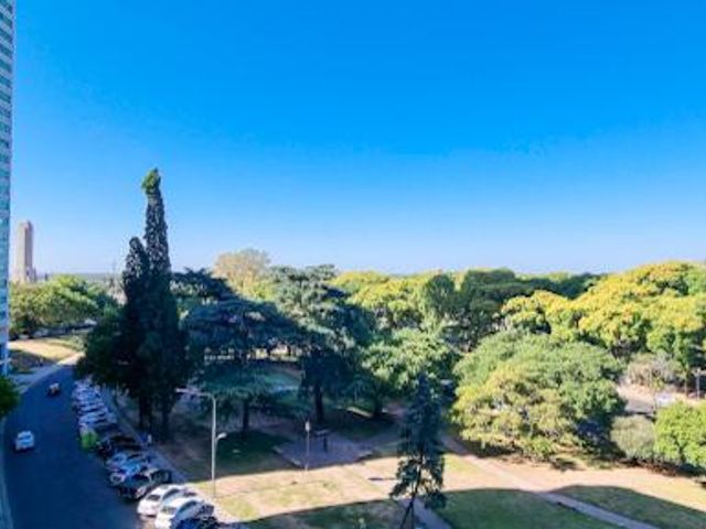 place photo 35
