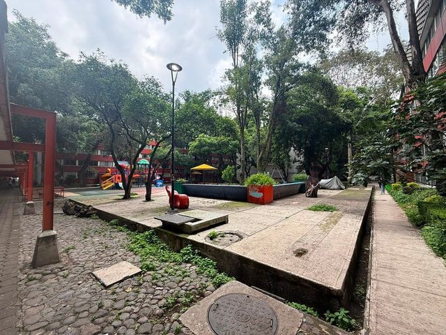 place photo 14